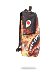 FIRE MONEY SHARK