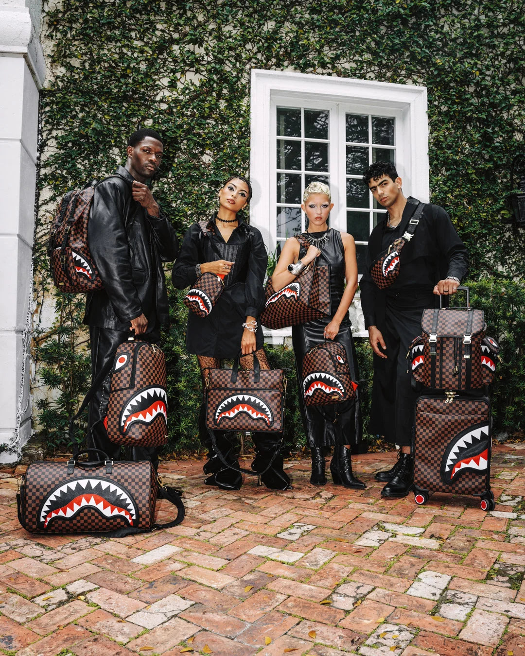 SAWTOOTH SHARKS IN PARIS HILLS BACKPACK
