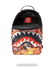 FIRE MONEY SHARK